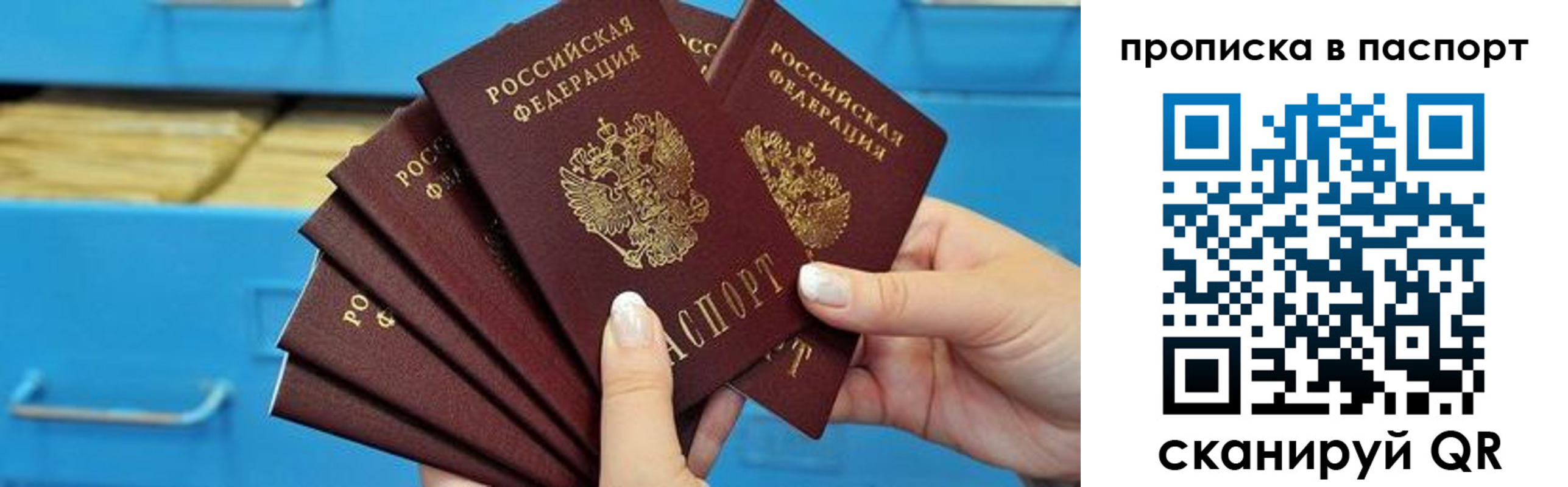 прописка в Лисках