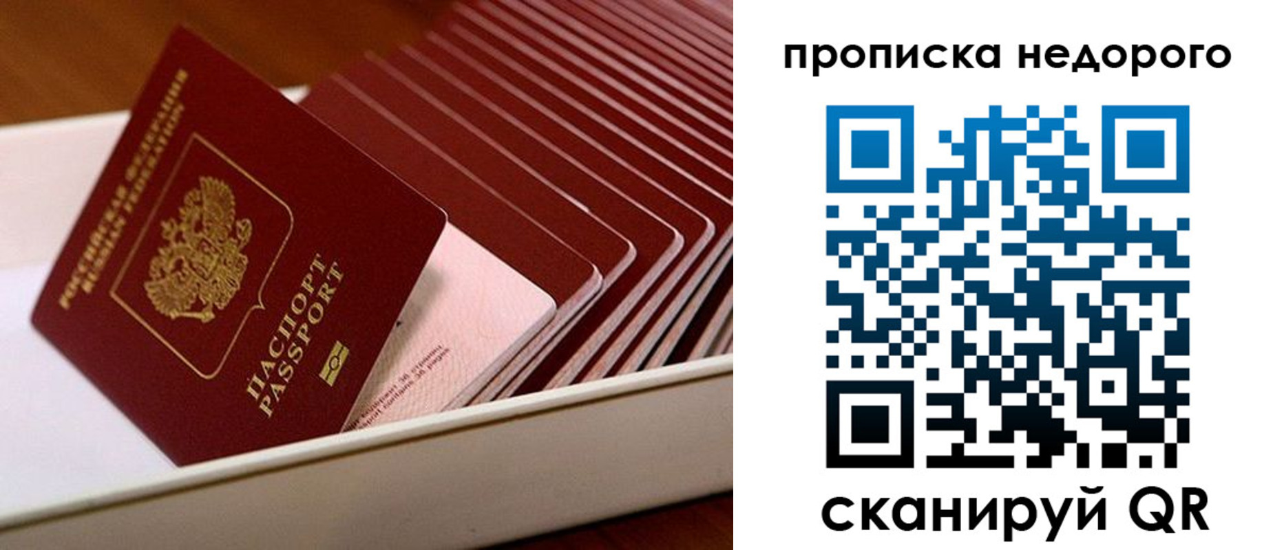 прописка паспорт в Лисках